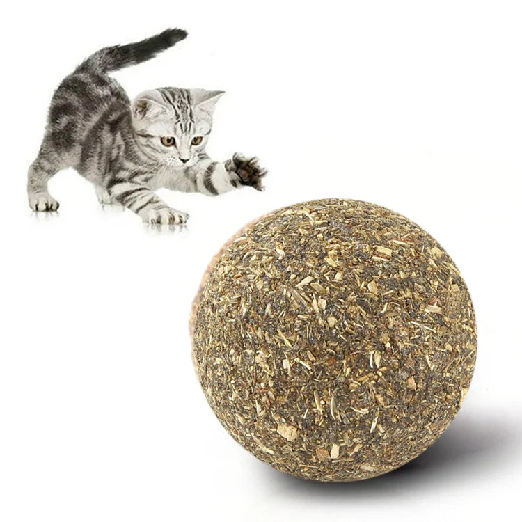 Avocado Catnip Wall Ball Cat Magic Mint Ball