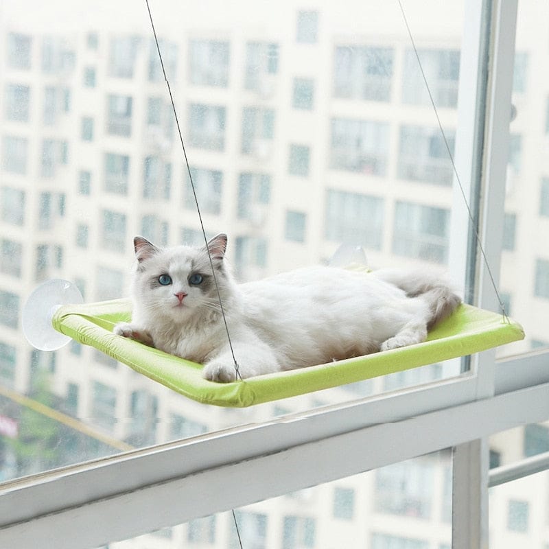 Cute Pet Hanging Beds Bearing upto 20kg